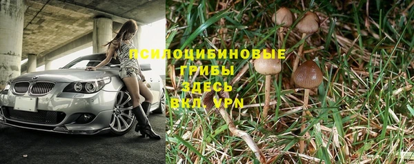 кокс Новокубанск