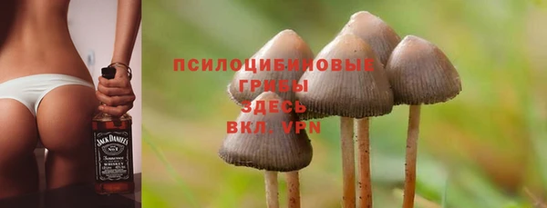 стафф Няндома