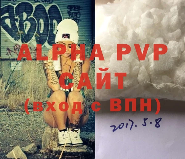 стафф Новозыбков