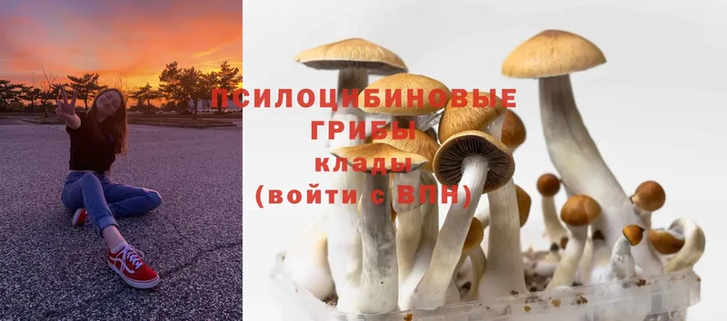 Галлюциногенные грибы Cubensis  хочу   mega рабочий сайт  Куса 