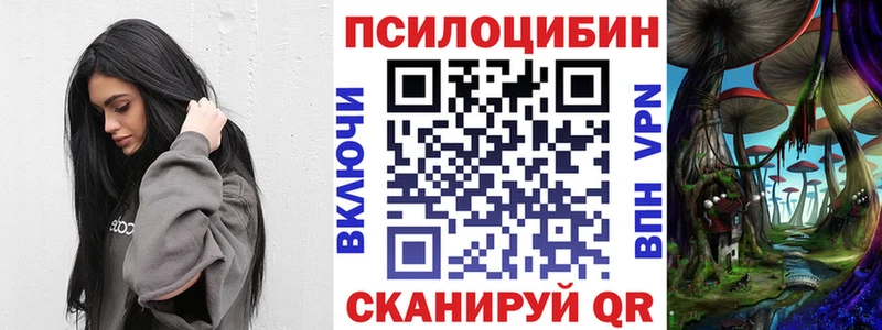 Галлюциногенные грибы Psilocybe  закладка  mega ССЫЛКА  маркетплейс клад  Куса 